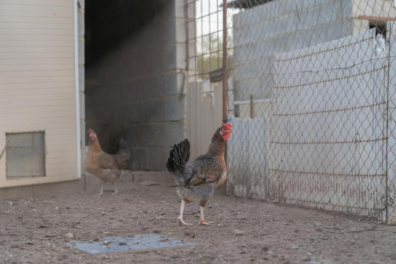 Alojamiento Rural Junto A Via Verde Olvera Zewnętrze zdjęcie